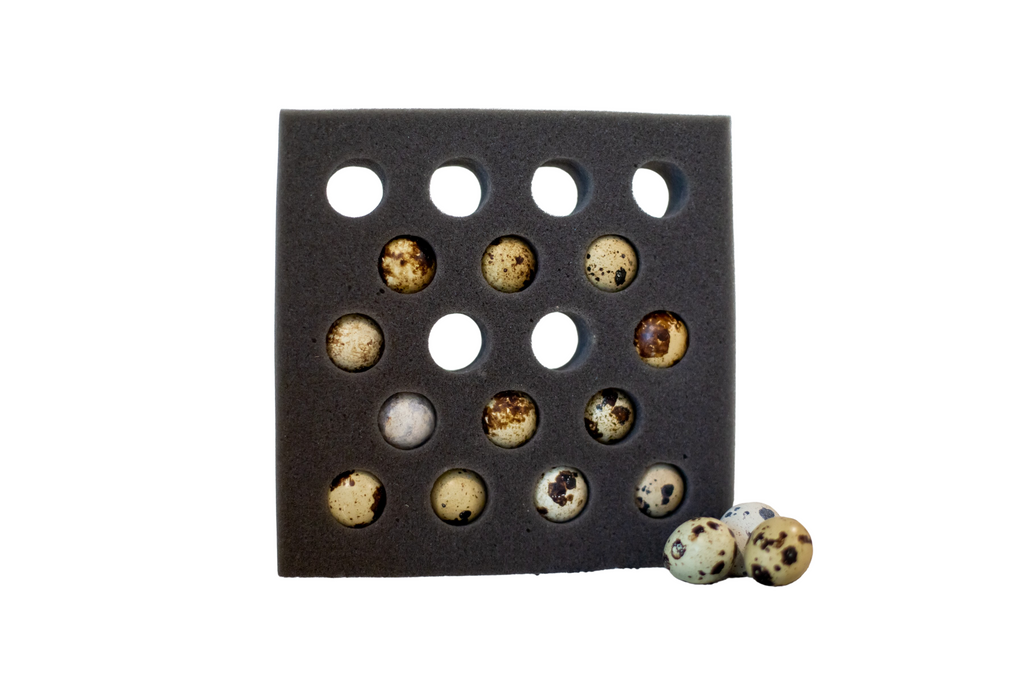 54 Quail Egg Foam Shipper Kit Foam Egg Shippers