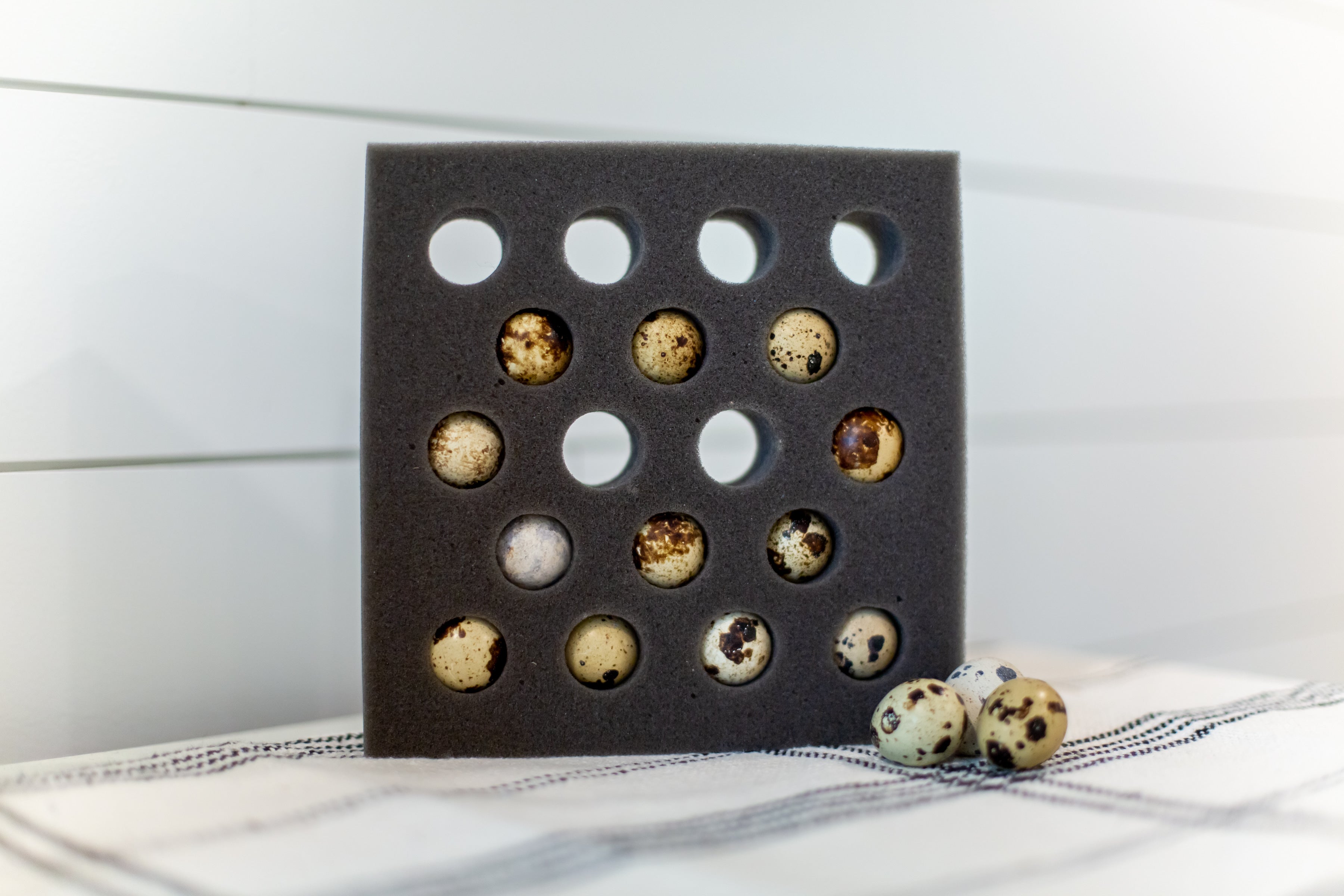 18 Egg Quail Foam Shippers Set (Standard Size) Foam Egg Shippers