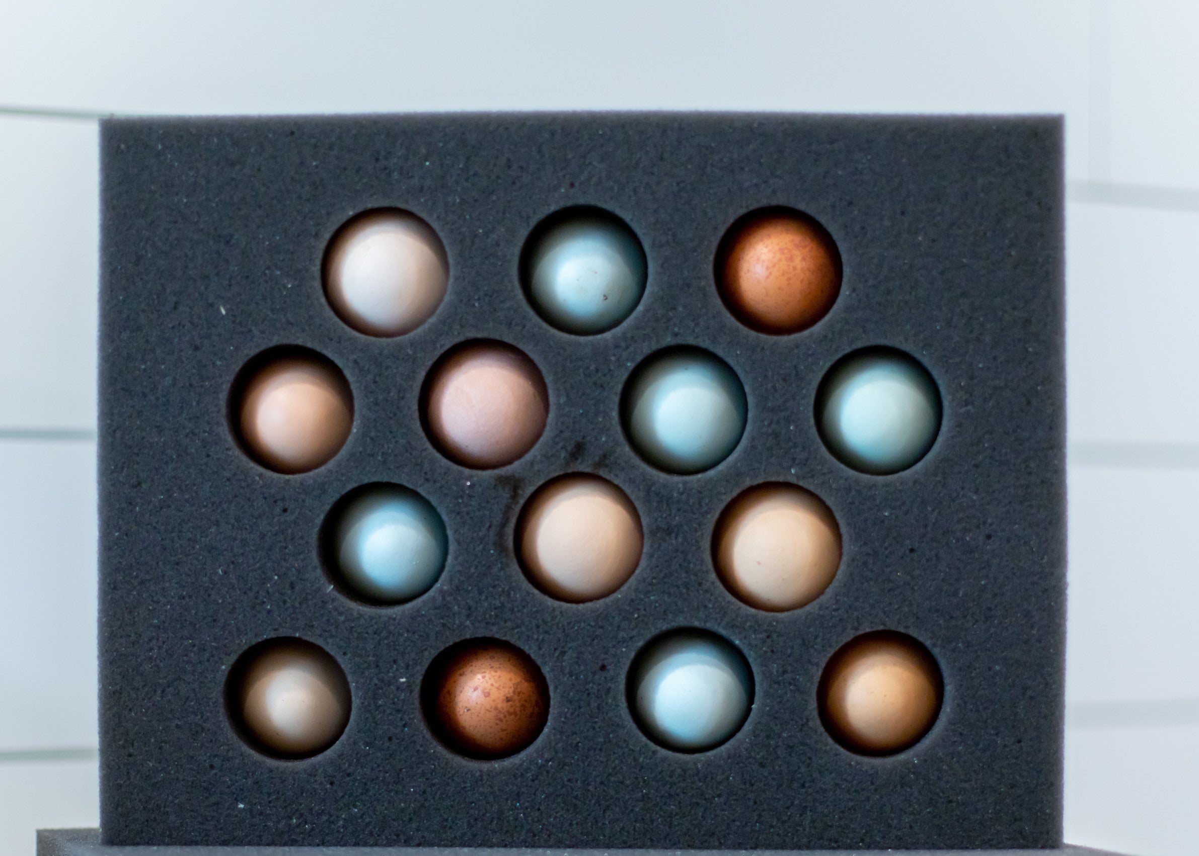 14 Egg Foam Shipper Set (Standard) Foam Egg Shippers