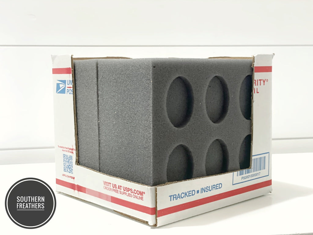 12 Egg Oblong Foam Small Kit (Standard) Foam Egg Shippers
