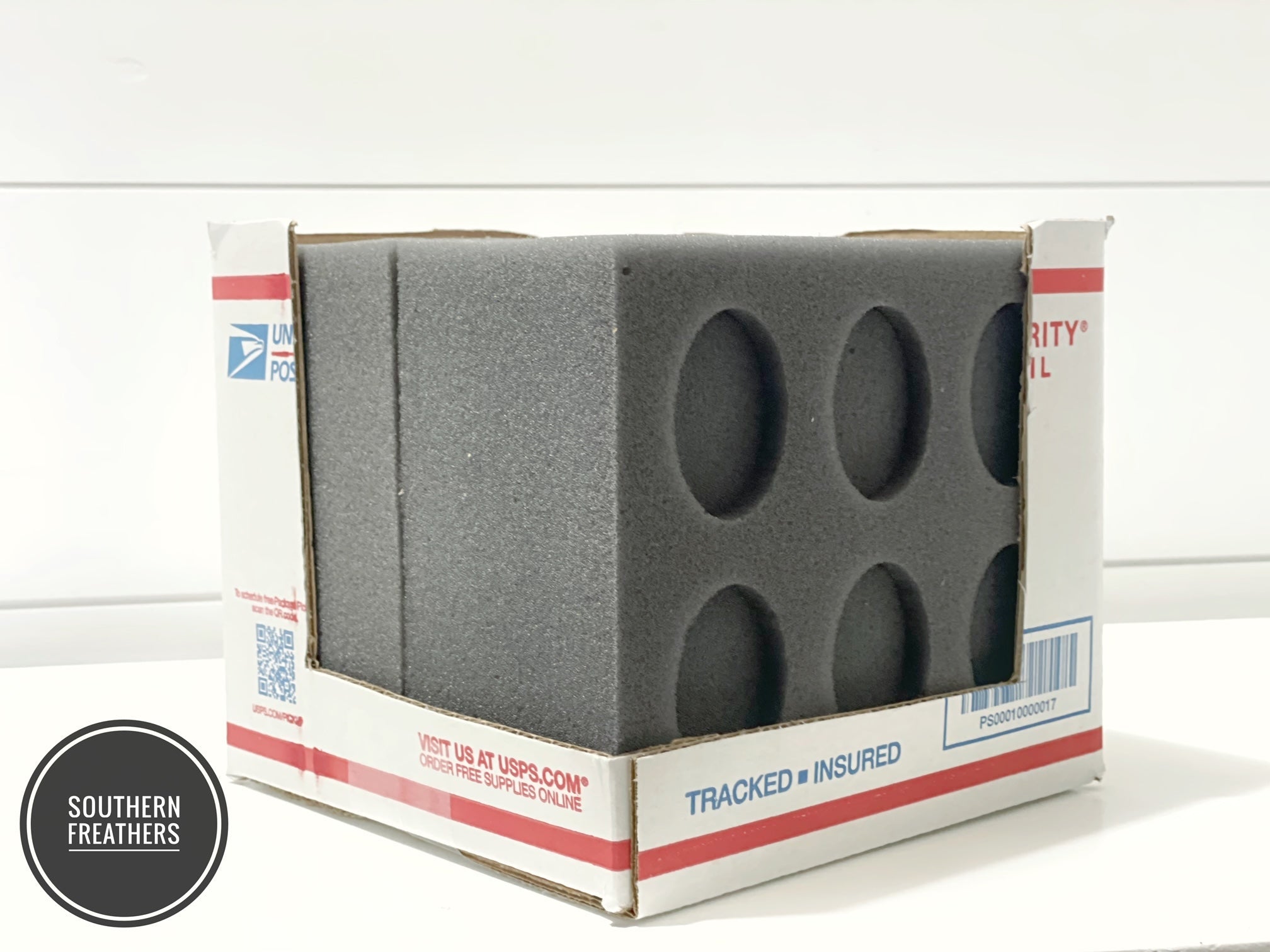12 Egg Oblong Foam Small Kit (Standard) Foam Egg Shippers
